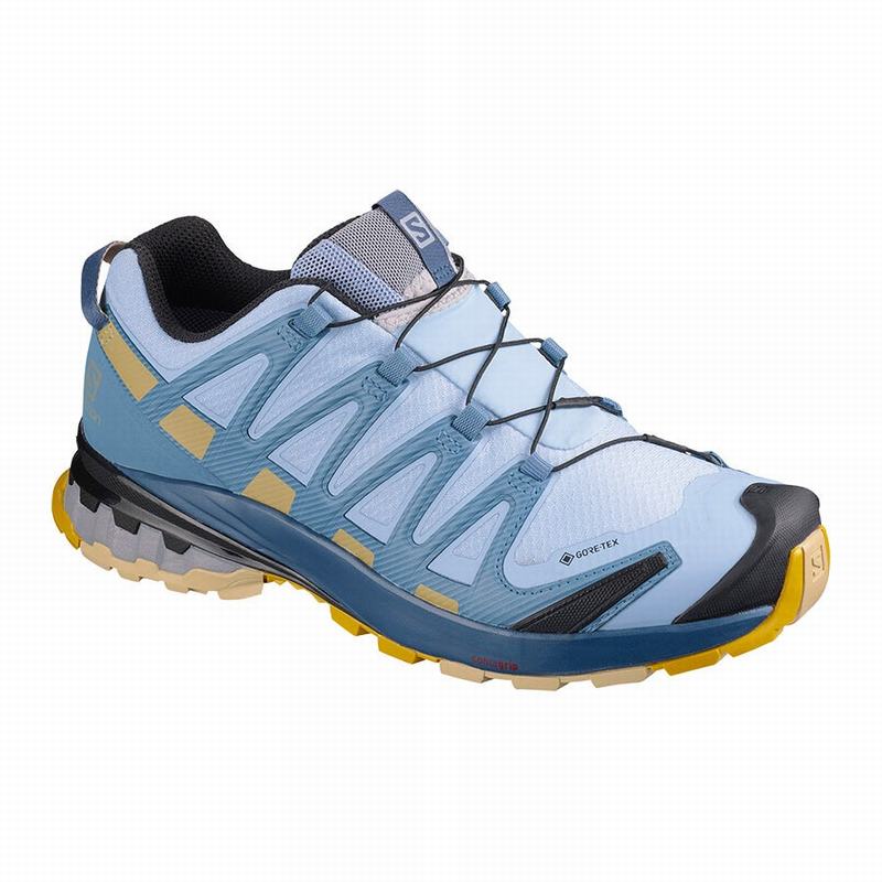 Salomon Israel XA PRO 3D V8 GORE-TEX - Womens Trail Running Shoes - Blue (HVKX-82195)